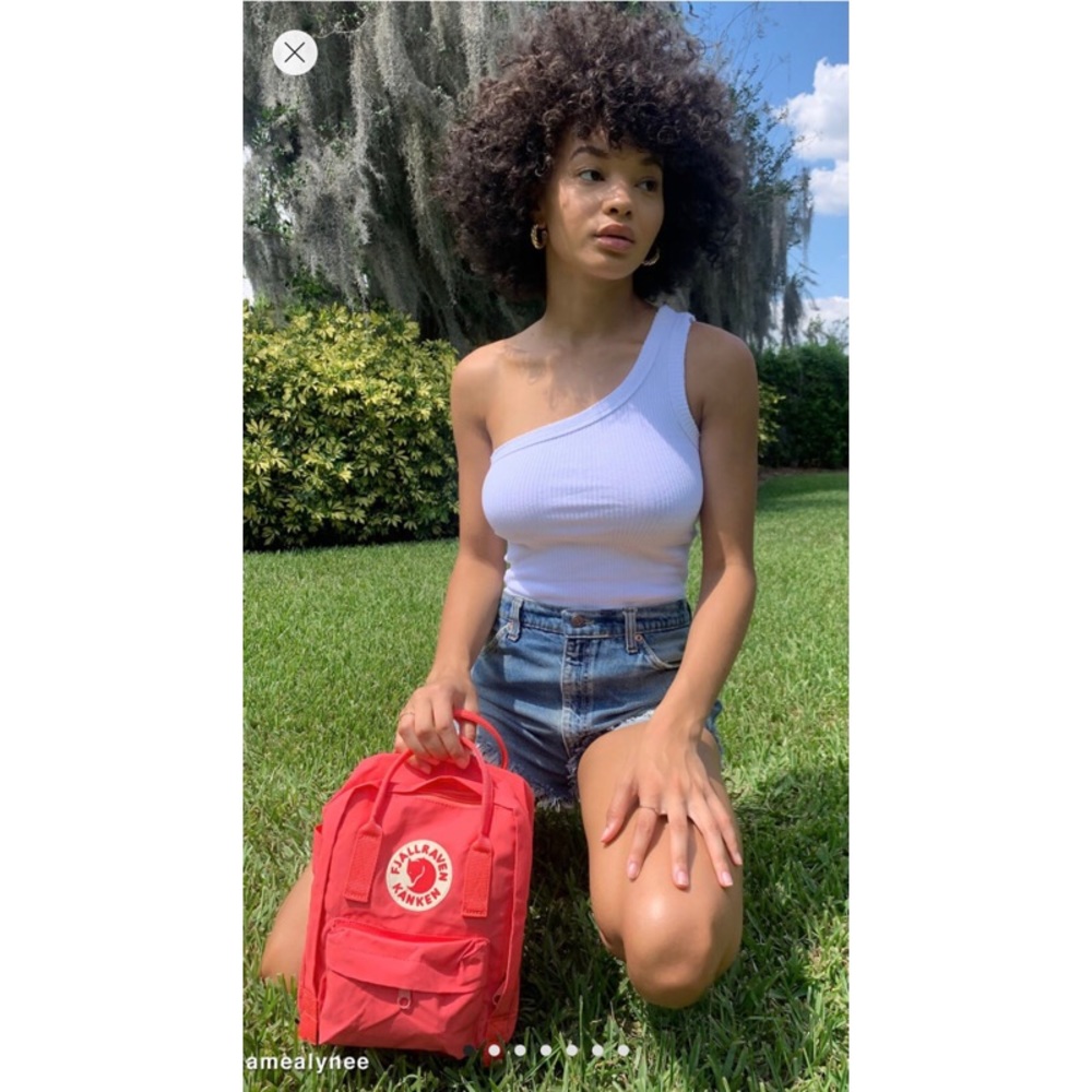 Fjallraven Kanken Bag